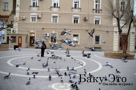 Ирада Асадова - Фотографии Баку – это изображения твоего сердца..